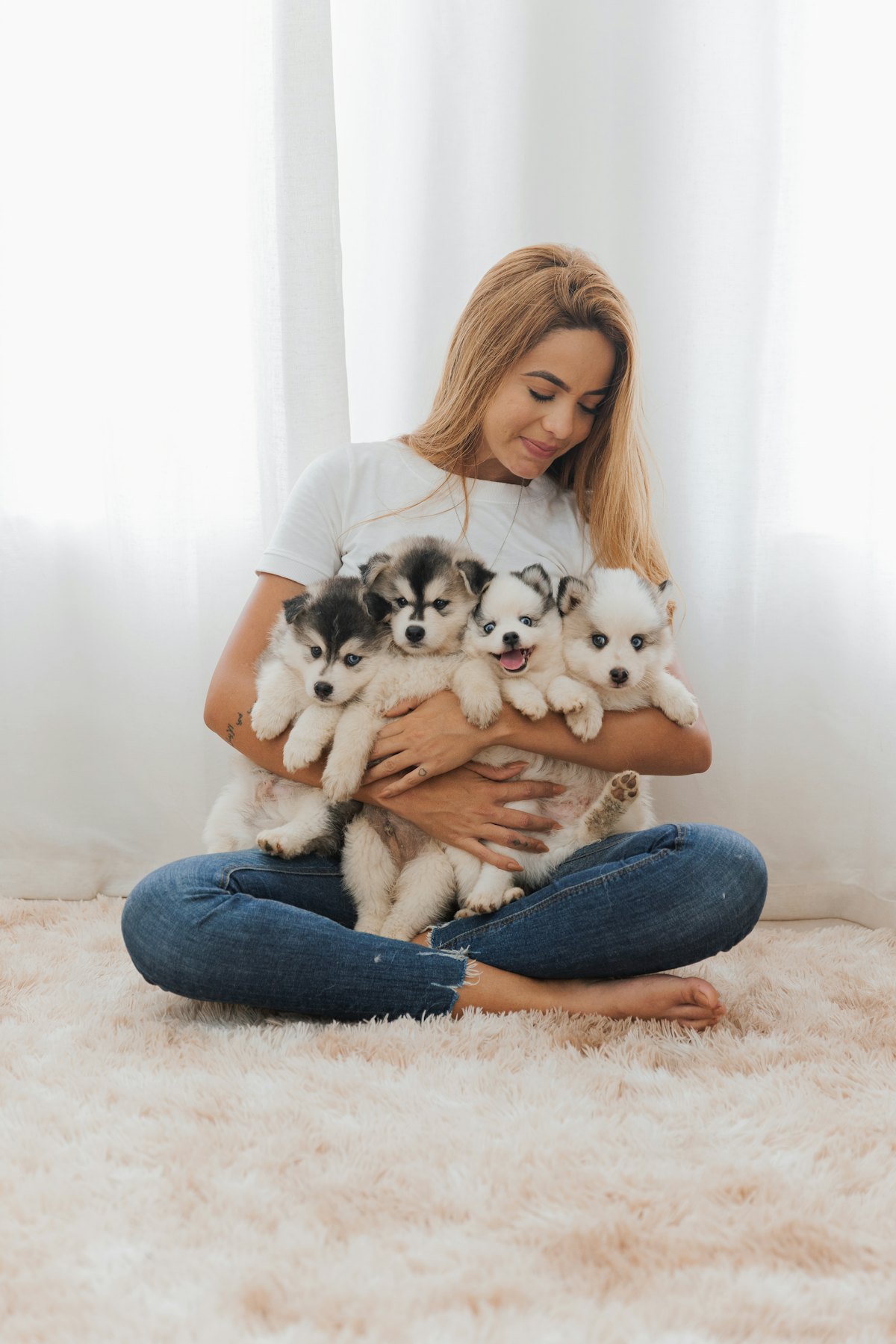 Éleveuse tenant une portée de chiots dans ses bras