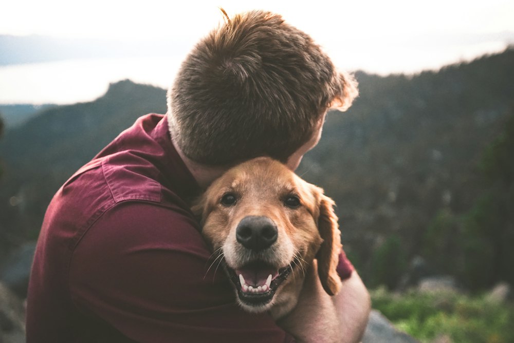 Un homme serre son chien dans ses bras en montagne